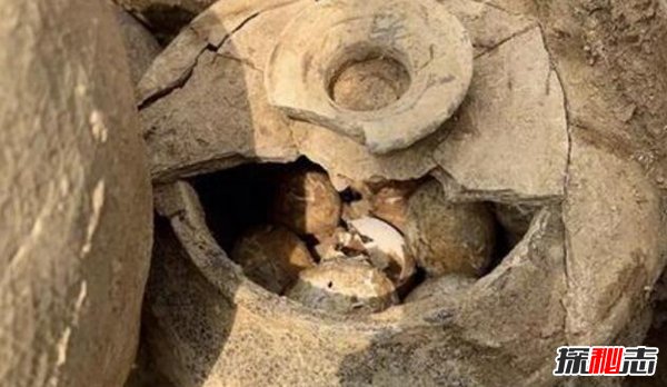 2500年前的鸡蛋是什么情况？长什么样（完好无损）959 / 作者:UFO爱好者 / 帖子ID:87678