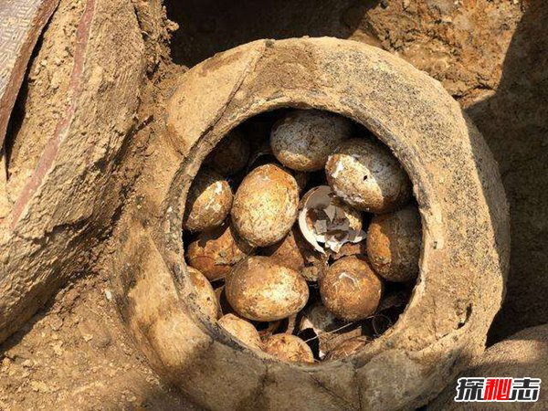 2500年前的鸡蛋是什么情况？长什么样（完好无损）788 / 作者:UFO爱好者 / 帖子ID:87678