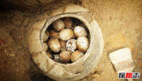 2500年前的鸡蛋是什么情况？长什么样（完好无损）91 / 作者:UFO爱好者 / 帖子ID:87678
