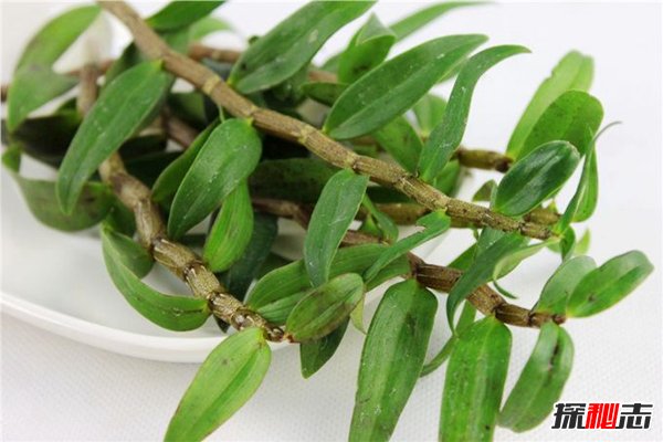1千元一斤草药大家见过吗？被称还阳草农村常见145 / 作者:UFO爱好者 / 帖子ID:87743