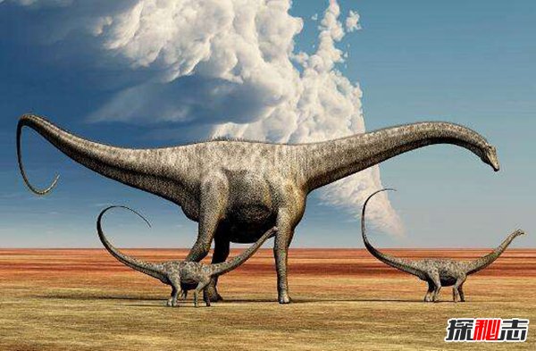 世界上最大的恐龙 地震龙可让大地地震体长超40米230 / 作者:UFO爱好者 / 帖子ID:87286