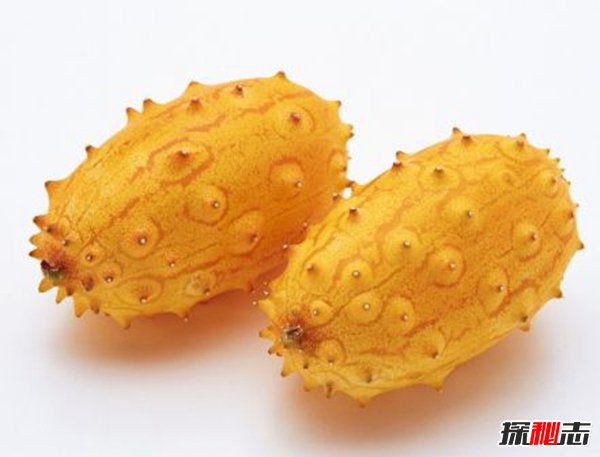 除了榴莲还有什么水果臭？世界五大最臭水果285 / 作者:UFO爱好者 / 帖子ID:87748