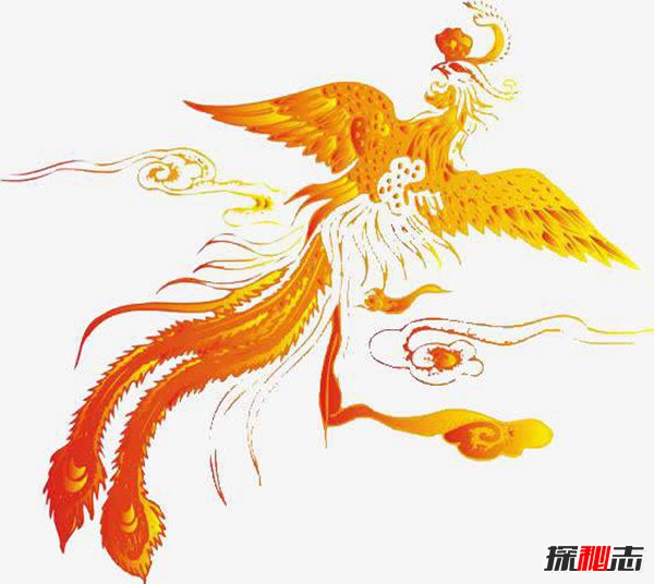 凤凰鸟真实照片揭秘 凤凰是什么样的原型是什么139 / 作者:UFO爱好者 / 帖子ID:87127