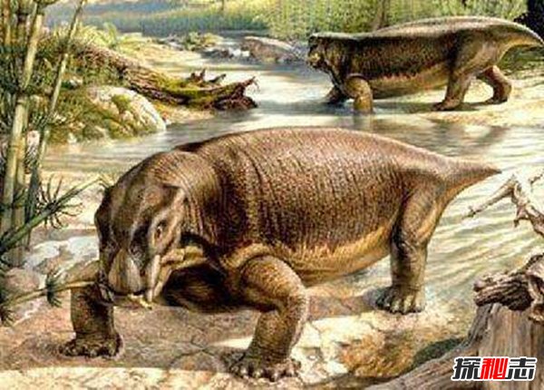世界上最强大的五种古生物 猛犸象牙齿巨大酷似獠牙758 / 作者:UFO爱好者 / 帖子ID:87050