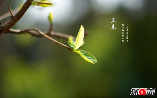 被禁唱的5首歌曲 第一第二名字不雅第四被禁原因成迷58 / 作者:UFO爱好者 / 帖子ID:86816