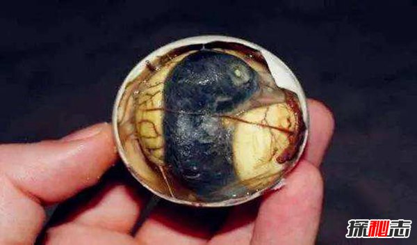 世界上最变态的食物 第一雄鱼生殖器第二看着就恶心828 / 作者:UFO爱好者 / 帖子ID:96766