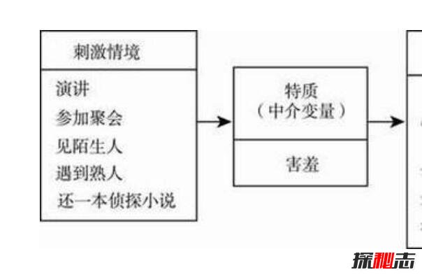 卡特尔人格特质理论 卡特尔16种人格特质291 / 作者:UFO爱好者 / 帖子ID:84401