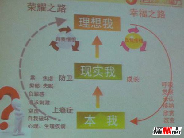 弗洛伊德人格理论 三重人格理论本我自我超我548 / 作者:UFO爱好者 / 帖子ID:87414