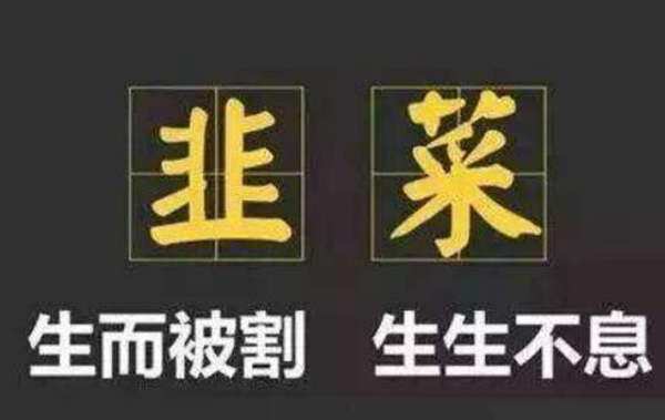 割韭菜是什么梗?怎样避免被割韭菜364 / 作者:UFO爱好者 / 帖子ID:87948
