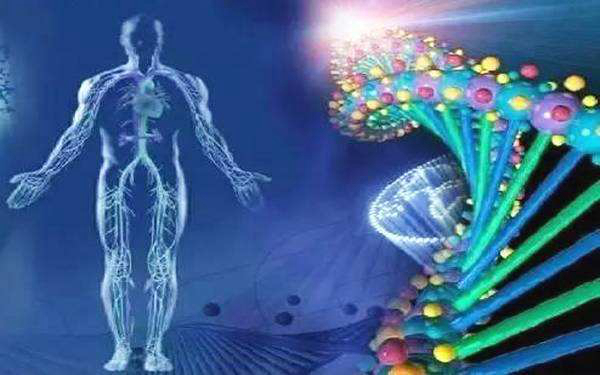 量子生命体的基本概念 量子态生命基本特征791 / 作者:UFO爱好者 / 帖子ID:84633