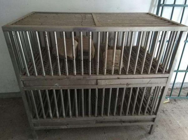 关进鸡笼是什么梗?鸡笼警告是什么意思3 / 作者:UFO爱好者 / 帖子ID:88271