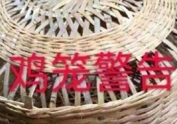 关进鸡笼是什么梗?鸡笼警告是什么意思545 / 作者:UFO爱好者 / 帖子ID:88271