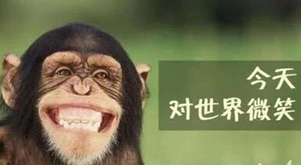 世界微笑日是什么意思?微笑有哪些正面作用736 / 作者:UFO爱好者 / 帖子ID:88324