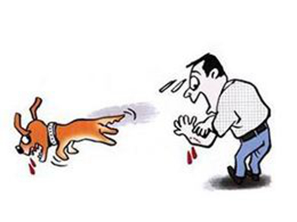 狂犬病是什么?狂犬病能治愈吗(100%死亡)207 / 作者:UFO爱好者 / 帖子ID:84474