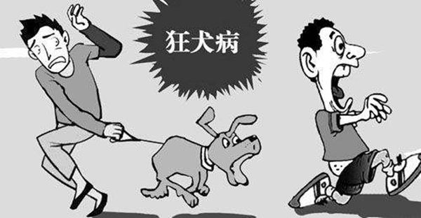 狂犬病是什么?狂犬病能治愈吗(100%死亡)306 / 作者:UFO爱好者 / 帖子ID:84474