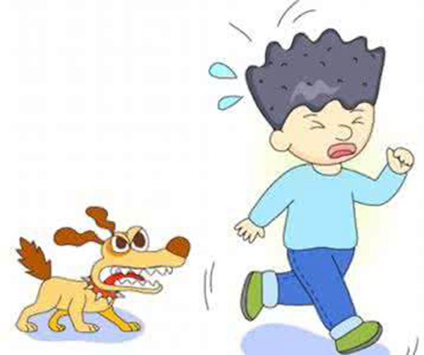 狂犬病是什么?狂犬病能治愈吗(100%死亡)569 / 作者:UFO爱好者 / 帖子ID:84474
