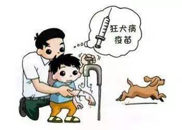 狂犬病的潜伏期是多久?狗咬了多久过安全期（几天-几年）857 / 作者:UFO爱好者 / 帖子ID:84091