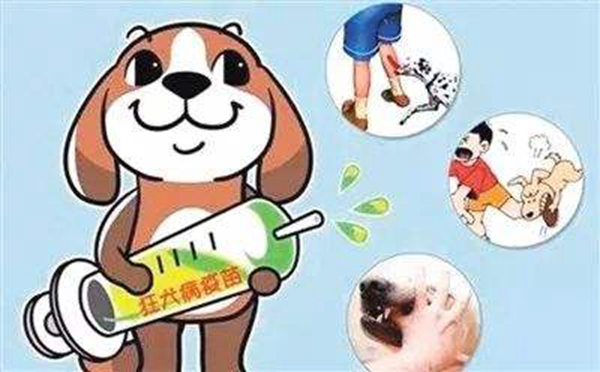 狂犬病的潜伏期是多久?狗咬了多久过安全期（几天-几年）68 / 作者:UFO爱好者 / 帖子ID:84091
