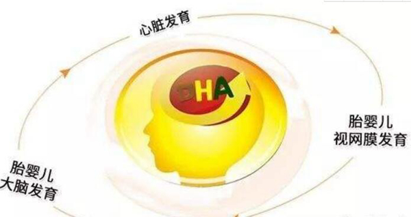 DHA是什么?孕妇需不需要补充DHA(脑黄金)162 / 作者:UFO爱好者 / 帖子ID:83666