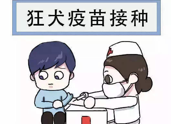 狂犬疫苗什么时候打?超过24小时疫苗就没用了吗70 / 作者:UFO爱好者 / 帖子ID:83656