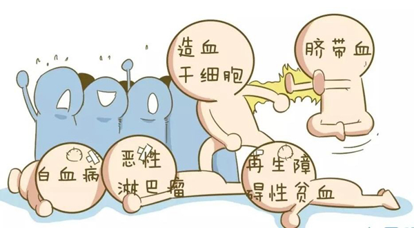 脐带血可以治疗白血病?脐带血是否包治百病（并不）151 / 作者:UFO爱好者 / 帖子ID:83455