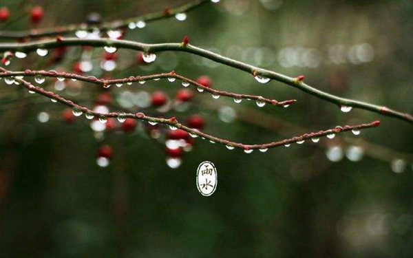 立春的下一个节气是什么?有哪些重要特点(雨水)827 / 作者:UFO爱好者 / 帖子ID:82834