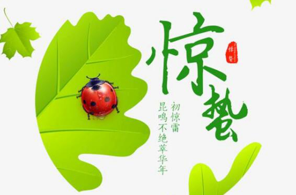 雨水的下一个节气是什么?是第几个节气（惊蛰）112 / 作者:UFO爱好者 / 帖子ID:82765