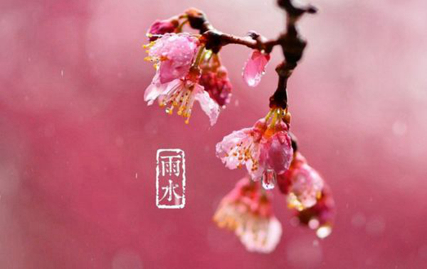 惊蛰的下一个节气是什么?这个节气应该注意什么（春分）656 / 作者:UFO爱好者 / 帖子ID:82829