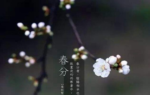 惊蛰的下一个节气是什么?这个节气应该注意什么（春分）265 / 作者:UFO爱好者 / 帖子ID:82829