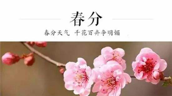 惊蛰的下一个节气是什么?这个节气应该注意什么（春分）508 / 作者:UFO爱好者 / 帖子ID:82829