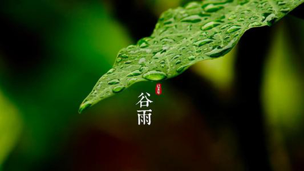 清明的下一个节气是什么?春季的最后一个时节(谷雨)154 / 作者:UFO爱好者 / 帖子ID:82835