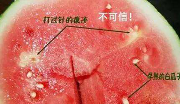 打针西瓜是什么?真的存在被打针的西瓜吗603 / 作者:UFO爱好者 / 帖子ID:80895