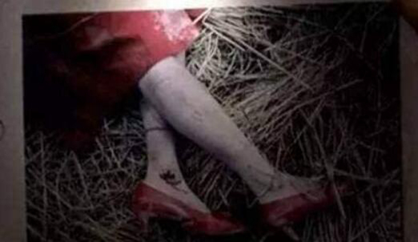 韩国华城连环杀人案幸存者 少女遭遇性侵后巧妙逃出生天495 / 作者:UFO爱好者 / 帖子ID:103746