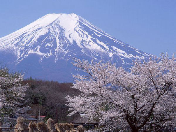 富士山式爱情是什么样？如何进行富士山式恋爱120 / 作者:UFO爱好者 / 帖子ID:92515