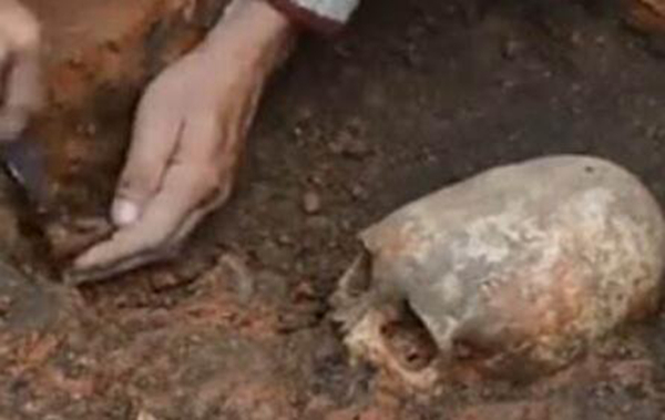 俄出土奇怪头骨 形状奇特疑似外星人头骨(长椭圆形)823 / 作者:UFO爱好者 / 帖子ID:103694