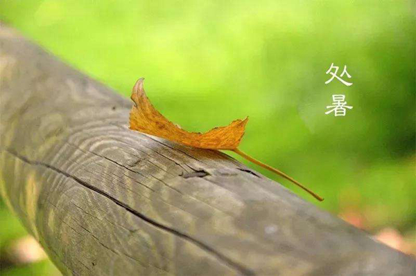立秋的下一个节气是什么?处暑为什么称为处暑(出暑)339 / 作者:UFO爱好者 / 帖子ID:82751