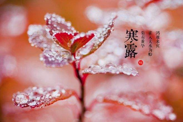 秋分的下一个节气是什么?怎么样才能更好养生（寒露）680 / 作者:UFO爱好者 / 帖子ID:82749