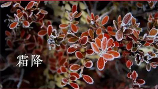 寒露的下一个节气是什么?是几月几日哪一天（霜降）487 / 作者:UFO爱好者 / 帖子ID:82747