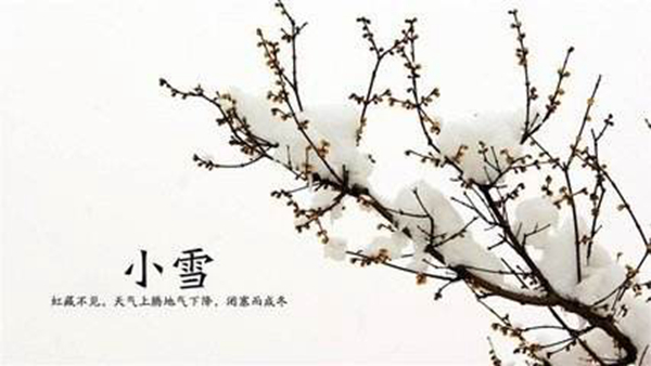 立冬的下一个节气是什么?小雪应该如何养生(防寒保暖)659 / 作者:UFO爱好者 / 帖子ID:82675