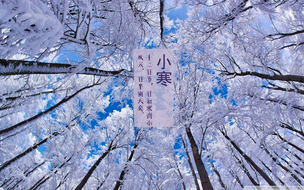 冬至的下一个节气是什么?小寒是几月几日有什么特点355 / 作者:UFO爱好者 / 帖子ID:82685