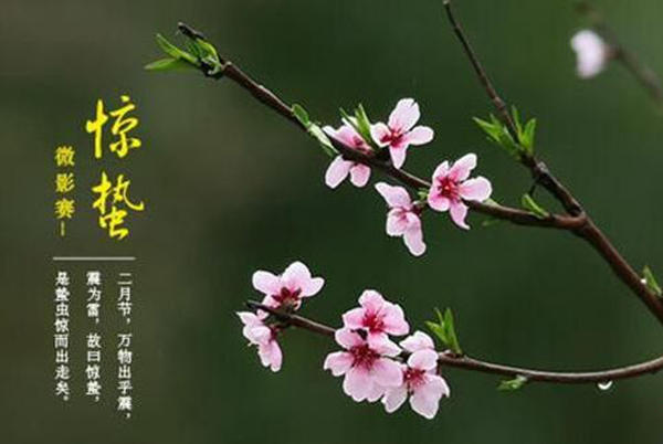 惊蛰是什么意思?惊蛰为什么称为惊蛰含义是什么942 / 作者:UFO爱好者 / 帖子ID:82683