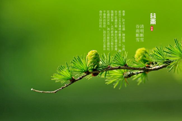 谷雨是什么意思?谷雨一定会下雨吗（雨生百谷）340 / 作者:UFO爱好者 / 帖子ID:82673