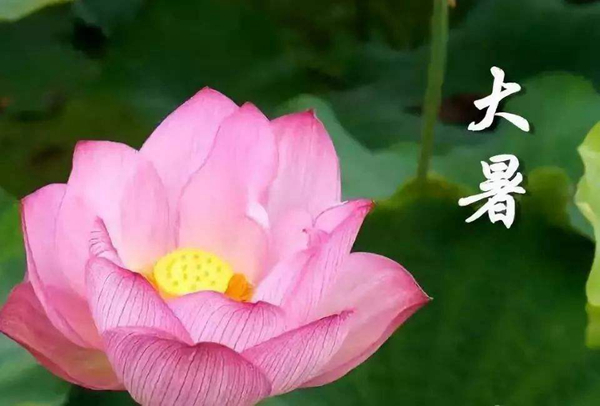 大暑是什么意思?一年最炎热的时节(避免中暑)622 / 作者:UFO爱好者 / 帖子ID:82672