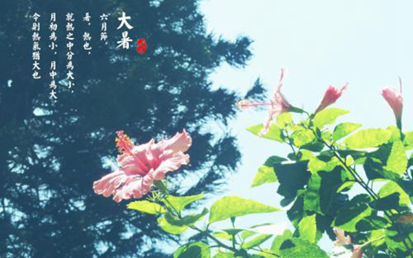 大暑是什么意思?一年最炎热的时节(避免中暑)835 / 作者:UFO爱好者 / 帖子ID:82672