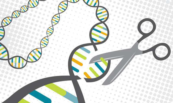 艾滋病治愈最新消息2019：基因编辑清除HIV成功121 / 作者:UFO爱好者 / 帖子ID:82534
