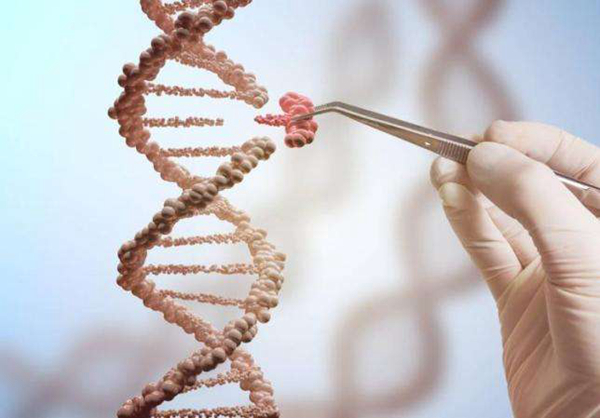 艾滋病治愈最新消息2019：基因编辑清除HIV成功479 / 作者:UFO爱好者 / 帖子ID:82534