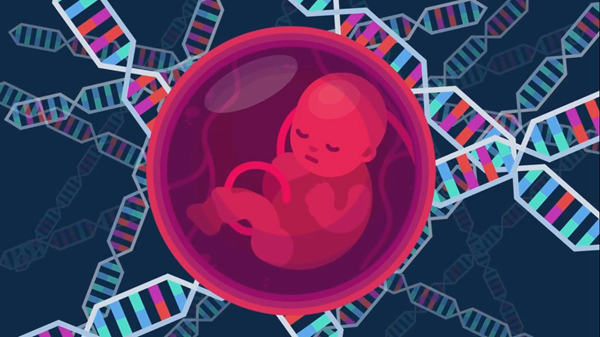 艾滋病治愈最新消息2019：基因编辑清除HIV成功747 / 作者:UFO爱好者 / 帖子ID:82534