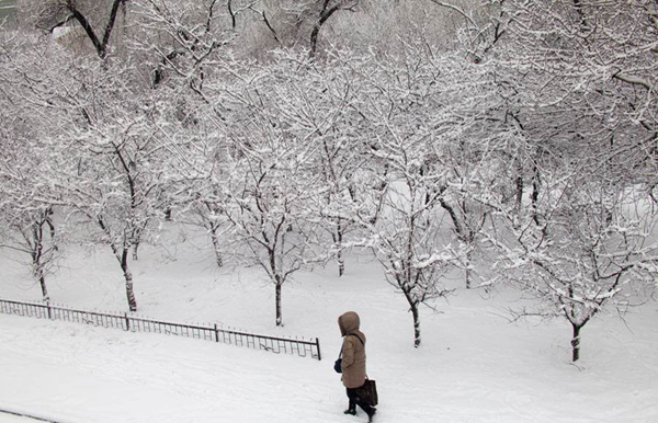 大雪是什么意思?大雪时节如何养生（防寒保暖）634 / 作者:UFO爱好者 / 帖子ID:82528