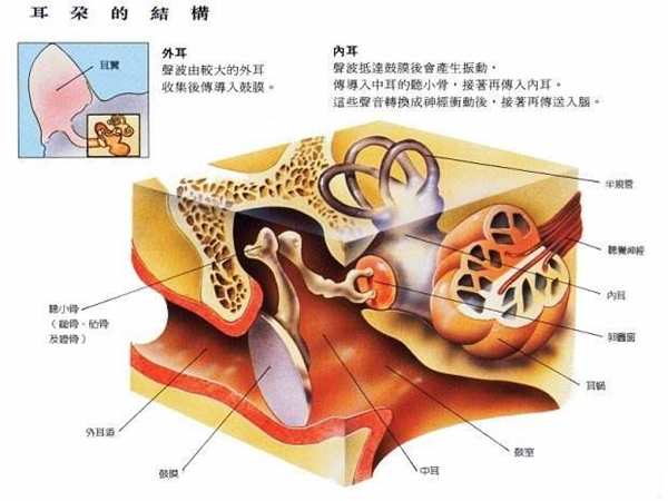 双氧水可以洗耳朵吗 双氧水怎么样洗耳朵更好258 / 作者:UFO爱好者 / 帖子ID:82362