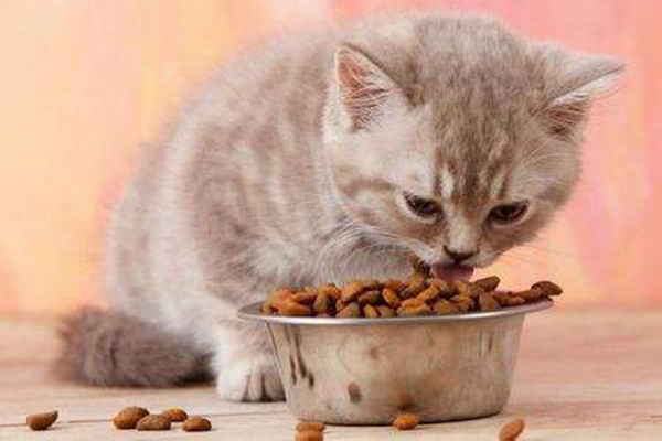 人可以吃猫粮吗?人吃了猫粮会有事吗（比较难吃）688 / 作者:UFO爱好者 / 帖子ID:81333